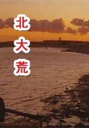 色天天综合久久久久综合片